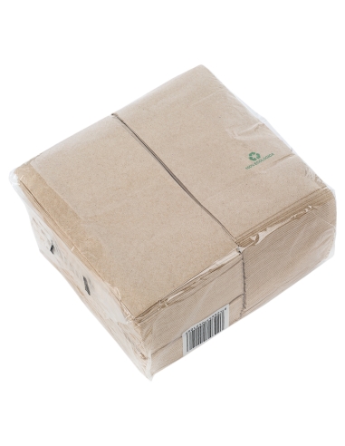 SERVILLETA ECOLOGICA 40 X 40 2 C. 1/8